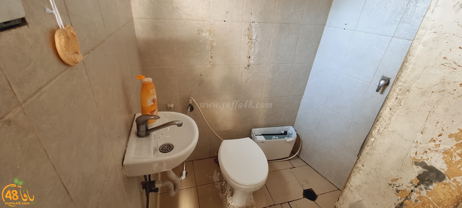 WhatsApp Image 2021-04-21 at 5.17.19 PM (2).jpg